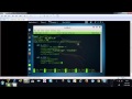HTTP Reverse Shell with Python