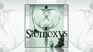 Stomoxys - De Frente