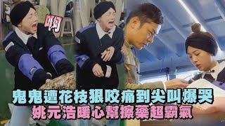 【來吧!營業中】鬼鬼遭花枝狠咬痛到尖叫爆哭 姚元浩暖心幫擦藥超霸氣