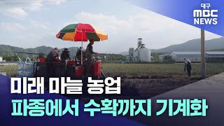 미래 마늘 농업‥파종에서 수확까지 기계화 | 대구MBC뉴스