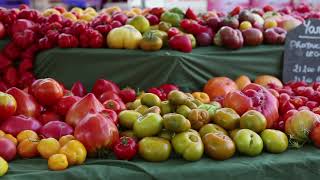 Hoe teel je tomatenzaad?