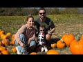 Trini on vacation: we take Lucas for his first ever haircut and then we visit a pumpkin patch !