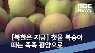 [북한은 지금] 첫물 복숭아 \