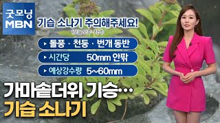 가마솥더위 기승 …기습 소나기 [굿모닝MBN]