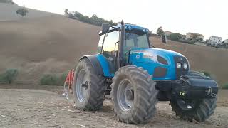 ripuntatura girasoli 2022 con landini legend 180