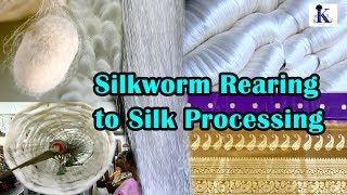 Silkworm rearing to silk processing