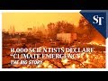 11,000 scientists declare “climate emergency” | THE BIG STORY | The Straits Times