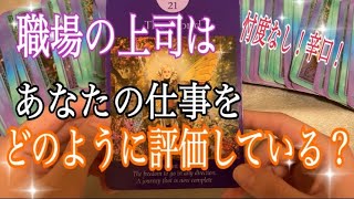 【タロット占い】‎⚠️辛口注意！職場の上司は、あなたの仕事をどのように評価している？😳びっくりするほど当たる！？タロット\u0026オラクルカードリーディング🌟