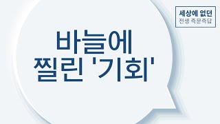 《세상에 없던 전생 즉문즉답》 즉문｜\