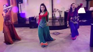 Aaja Aaja Mere Ranjhna / Dulha Mil Gaya / Dance group Lakshmi / Indian evening with Indian guests