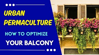 Make Your Balcony a Green Oasis | Urban Permaculture