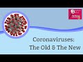 Coronaviruses: The Old & The New