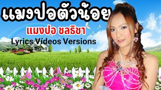 แมงปอตัวน้อย - แมงปอ ชลธิชา[Lyrics Video Version]