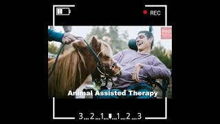 "ANIMAL ASSISTED THERAPY क्या होता है?"#shorts #facttechz #stubbornfact #getsetflyfact #facts #trend