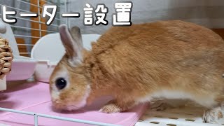 ヒーターを取り出して冬支度を開始しました　【うさぎカフェ ぽっぷ Pop】