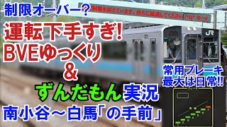 【BVEゆっくり\u0026ずんだもん実況】3人で運転したらいつもよりカオスになった... 大糸線 南小谷～白馬「の手前」