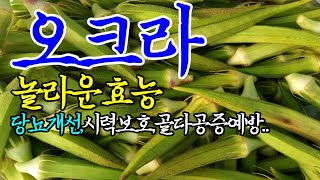 ☞오크라의 놀라운 효능【피부미용,시력보호,뼈건강에도 좋은 오크라~!】