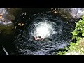 seven pools the oheo bridge jump in maui hawaii