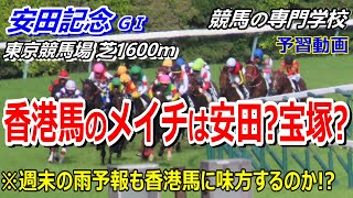 【安田記念2024】予習動画 香港からの刺客 ロマンチックウォリアー ヴォイッジバブル