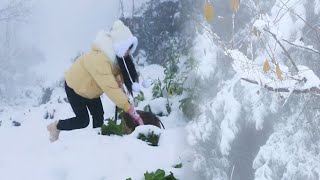 Winter Snow Scene 炎炎夏日， 让我来带你们看雪景，清爽一夏哈