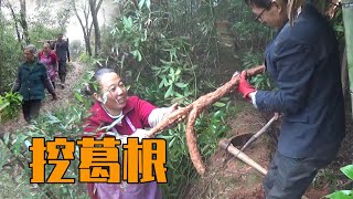 【ENG SUB】挖葛根是门技术！幺妈和王幺爷忙活半天，结果挖到的都是柴葛？【幺妈和幺叔】