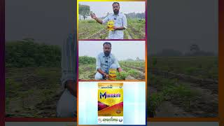 Best Pesticides for Farming in 2024 Telangana | Kiran Reddy Agri Traders is the Best Store