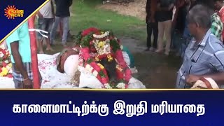 உயிரிழந்த காளை மாட்டிற்கு இறுதிமரியாதை | Tamil News Today | Today News | Sun News