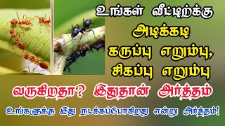 உங்கள் வீட்டிற்கு அடிக்கடி கருப்பு எறும்பு, சிகப்பு எறும்பு வருகிறதா? உங்களுக்கு இது நடக்கப்போகிறது!