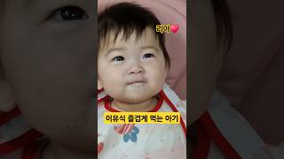 이유식 즐겁게 먹는 아기♥️리아 (엄마가 힘이나요) #한평가족 #baby #육아 #리아 #이유식