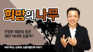 EP.29 [희망의 나무] 진정한 희망의 힘은 과연 어디에 있을까