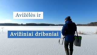 Pirmas ledas ir KRŪVA kuojų | Žvejyba paprastai