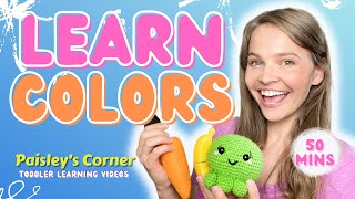 Learn Colors for Toddlers - Miss Lily | Best Toddler Learning Video | Educational Video for Toddlers