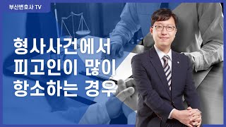 형사사건에서 피고인이 많이 항소하는 경우 - 부산변호사