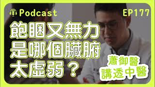 飽睏又無力，是哪個臟腑太虛弱？｜蕭御醫講透中醫Podcast EP177