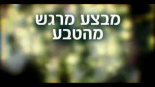 תשדיר טלויזיה - בודי שופ