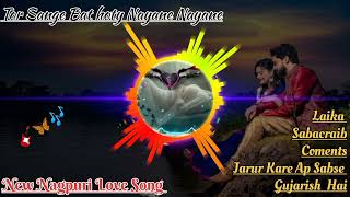 Tor Sange Bat hoty Nayne  Nayne  New Nagpuri Love Song 2024 #bairalsong #lovesong #nagpuri