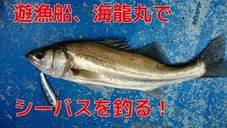 石川の遊漁船、海龍丸に乗ってシーバスを釣る