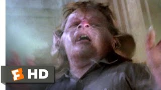 The Witches (5/10) Movie CLIP - Hello Little Bruno (1990) HD