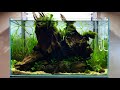 ADA 60P 4K Cinematic Nature Aquarium Style Aquascape for 60 Minutes