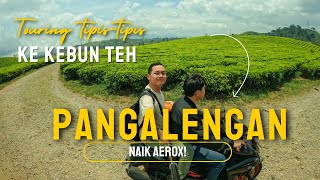 TOURING & HEALING ke PANGALENGAN | Explore Makam Bossca - Kampung Cibolang - Kebun Teh