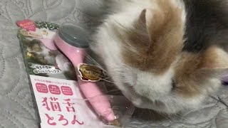 猫舌とろん使ってみた！