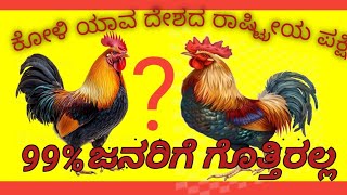 ಕೋಳಿ ಯಾವ ದೇಶದ ರಾಷ್ಟ್ರೀಯ ಪಕ್ಷಿ ಗೊತ್ತ?|rooster which country national bird|did you know