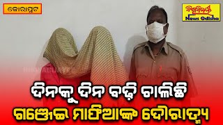 ଛୋଟ ଛୋଟ ପ୍ୟାକେଟ କରି ଗଂଜେଇ ଚାଲାଣ ||| Koraput