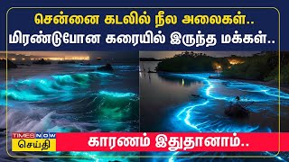 சென்னை கடலில் நீல அலைகள் தோன்ற காரணம் இதுதான் | bioluminescent waves | Marina | ECR Beach