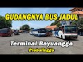 Berburu Bus Jadul - Disini Tempatnya || Terminal Bayuangga Probolinggo