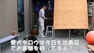 【出島荘】看板犬のタロウ