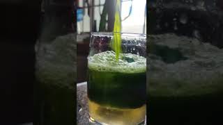 கண்ணுக்கு குளிர்ச்சியான கொத்தமல்லி சர்பத்🍸  #greenjuicerecipe #shorts #corianderleaves