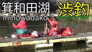 新ベラ放流後　良く動く個体が・・・　居るはずなのに　皆さん渋い表情