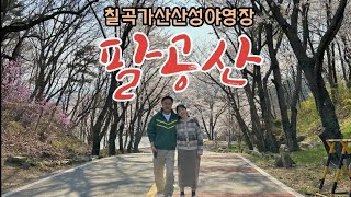 전국 최대 벚꽃캠핑장/팔공산 가산산성야영장/요금은 단돈 만원/벚꽃성지