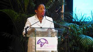 The Honourable Pennelope Beckles-Robinson - The Power of Dreams Event